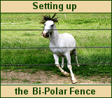 Even without a ground rod, the horse will get zapped! and respect the fence !