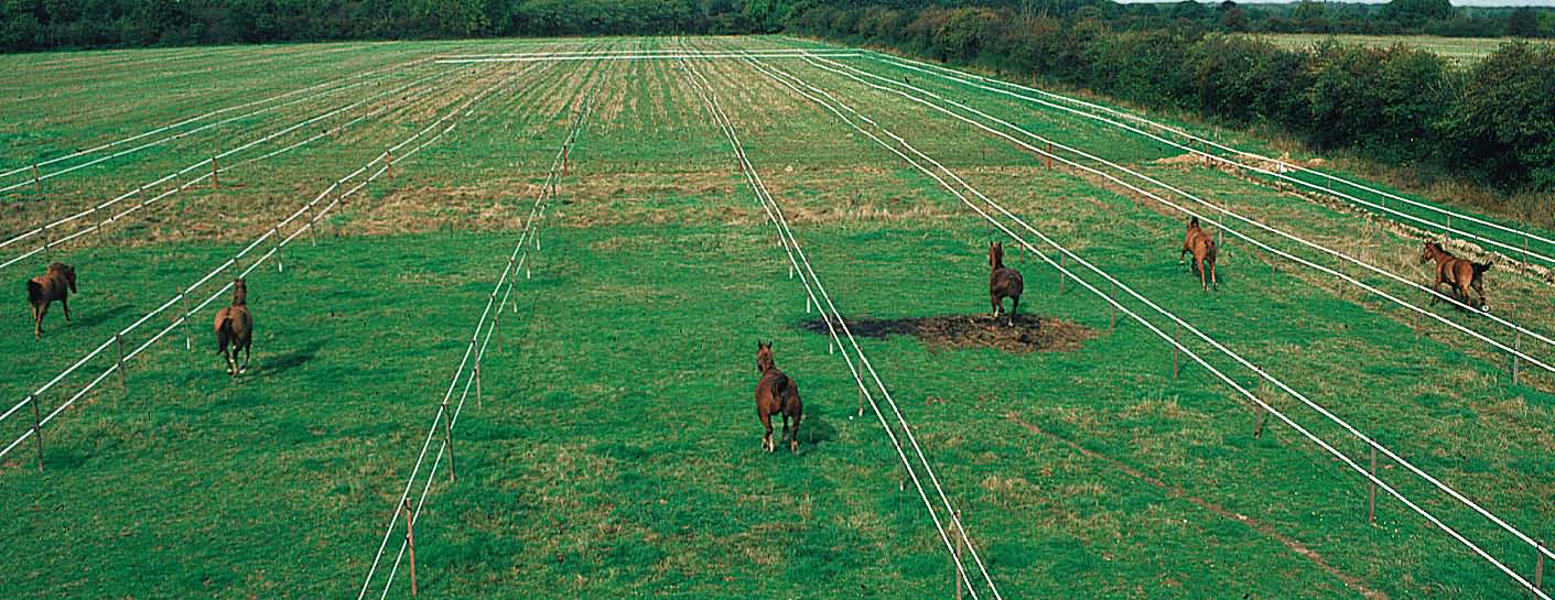  electric fence:This fence setting provides a daily turnout area where horses encourage each other to run the length of the corridor for self-exercise.