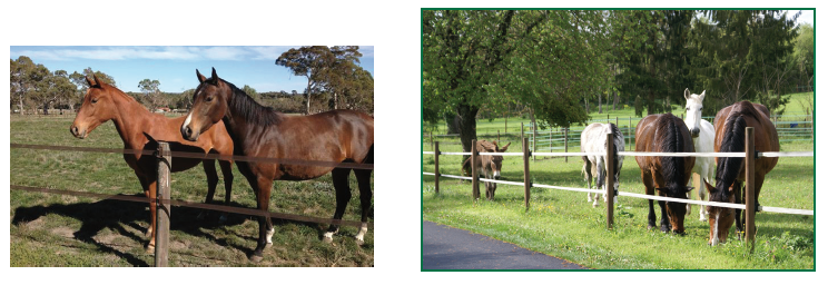 Electric fence: INNOVATION, QUALITY, ESTHETICS,IT'S THE HORSEGUARD WAY!
