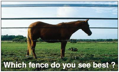 Electric fence for Horse: A good fence must be very visible for a horse to be safe.